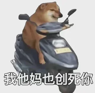 😀 emoji 全行业数据 各类资源  @shuj896 Telegram sticker 11 of 111