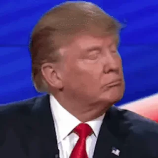Sticker from Trump & Biden ¦ @figurinhasWa
