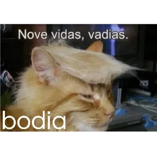 😼 emoji bodia 3 Telegram sticker 18 of 70