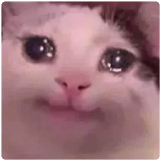 Sticker from Cat Crying - by @canaldobrayan