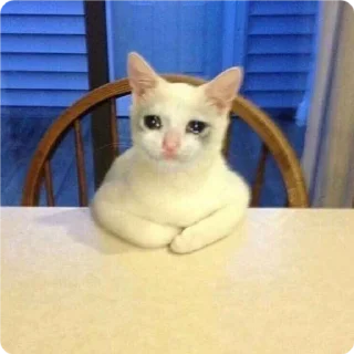 🙇‍♂ emoji Cat Crying - by @canaldobrayan Telegram sticker 16 of 34
