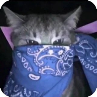 Sticker from Miau