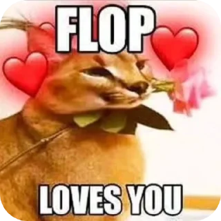 Sticker from Flop
