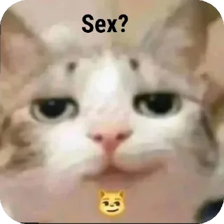 🤲 emoji Memis Telegram sticker 22 of 68