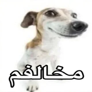 😒 emoji @Caneda Telegram sticker 16 of 29