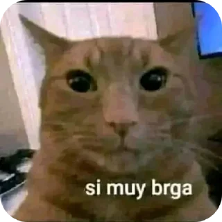 🐱 emoji Stickers Sigmax V1 Telegram sticker 7 of 120