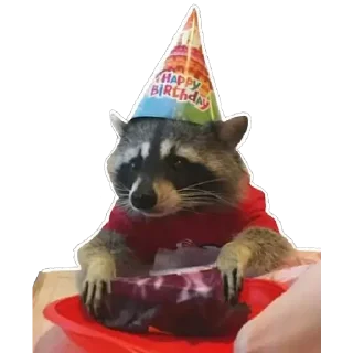 🥳 emoji Habēmus un poco más de Raccoon Telegram sticker 18 of 120