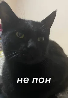Sticker from айс бэйби