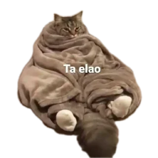 🐱 emoji Stickers random XD Telegram sticker 23 of 120