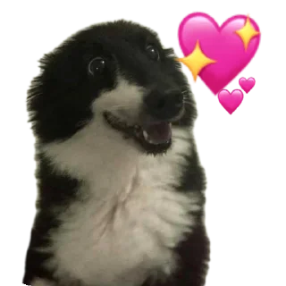 🐶 emoji Stickers random XD Telegram sticker 6 of 120