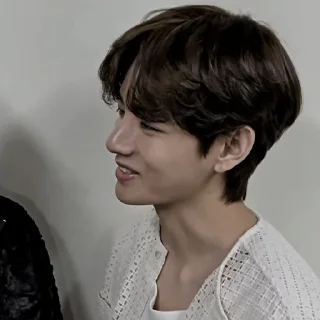 🍶 emoji ㅤ⌦ TAEHYUNG @XXMAFIAWEB Telegram sticker 21 of 95