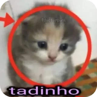 Sticker from Figs que a Eve gosta