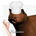 👌 emoji Weird Cat (@reallywe1rdcat) Telegram sticker 13 of 114