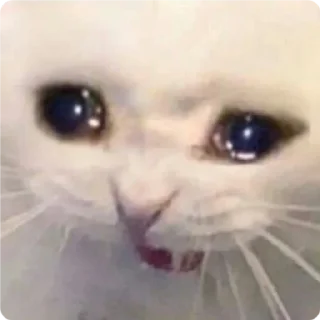 😿 emoji Cat Crying - by @canaldobrayan Telegram sticker 20 of 34