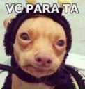 ☹ emoji MEMES BR 😝🇧🇷 Telegram sticker 22 of 120
