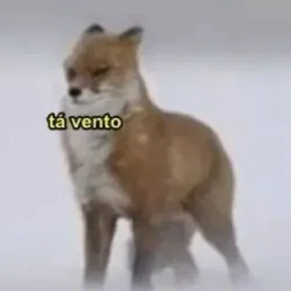 Sticker from Aleatório