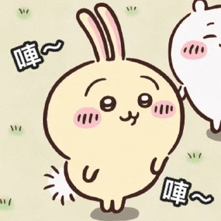 Sticker from Chiikawa Gif 1 (日常）