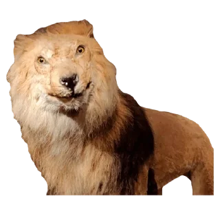 👖 emoji El pack Telegram sticker 16 of 120
