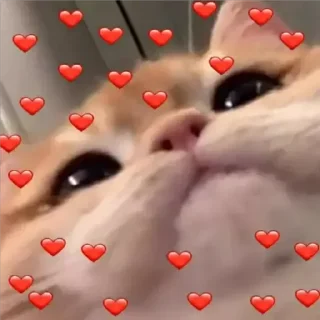 ❤️‍🔥 emoji lovezin @lbrabo Telegram sticker 4 of 57
