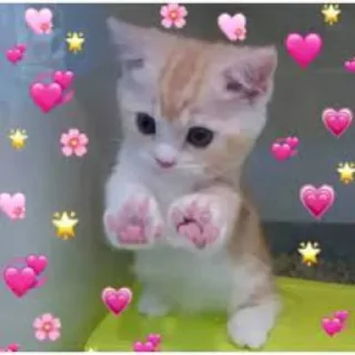 ❤️‍🔥 emoji lovezin @lbrabo Telegram sticker 19 of 57