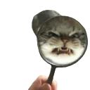 😡 emoji Memes de retardado Telegram sticker 16 of 102