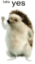 😂 emoji Memes de retardado Telegram sticker 9 of 102