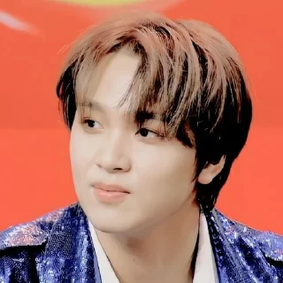 🐻 emoji ˖ ࣪ ٬ haechan @stickernct Telegram sticker 14 of 30