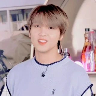 🐻 emoji ˖ ࣪ ٬ haechan @stickernct Telegram sticker 20 of 30