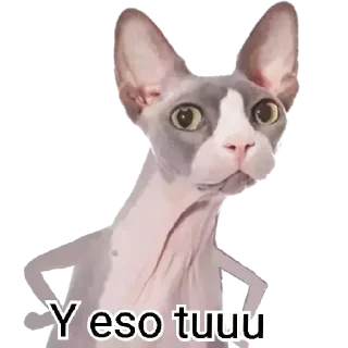 😳 emoji Lix Telegram sticker 21 of 120
