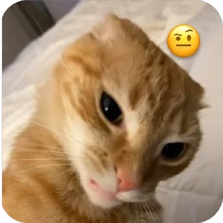 🫥 emoji Gato. Telegram sticker 12 of 34