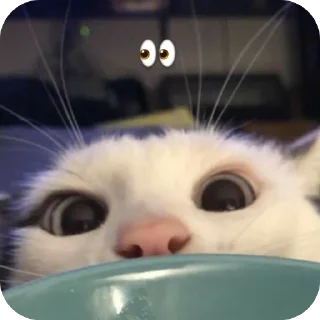 🫥 emoji Gato. Telegram sticker 16 of 34