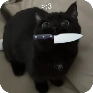 🫥 emoji Gato. Telegram sticker 6 of 34