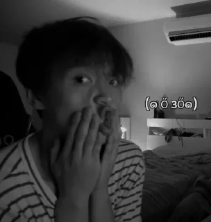 🐻 emoji lee haechan — @alunannklasik Telegram sticker 9 of 38