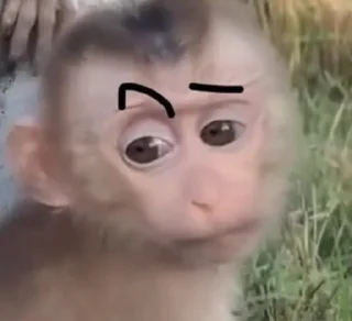 🤨 emoji monkey, J. @thdolyn Telegram sticker 16 of 28