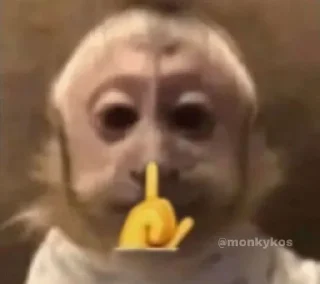 🤫 emoji monkey, J. @thdolyn Telegram sticker 11 of 28