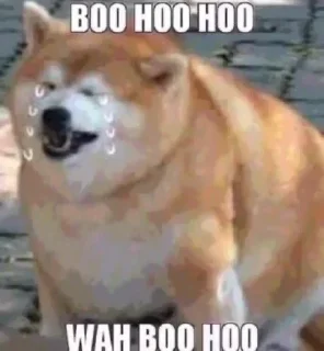 😭 emoji Só os brabo do @cassioavila Telegram sticker 23 of 68