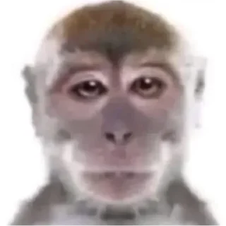 💚 emoji macaco Telegram sticker 13 of 24