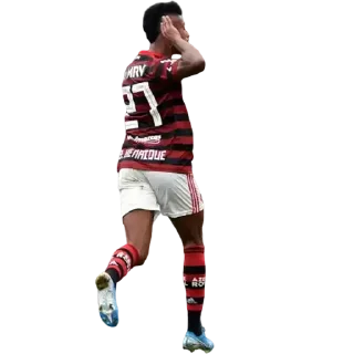 🤚 emoji Flamengo Telegram sticker 17 of 120