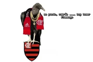 🔴 emoji flamengo Telegram sticker 14 of 37
