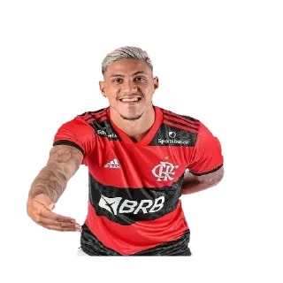 😍 emoji Flamengo Telegram sticker 6 of 94