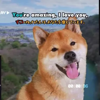 Sticker from Tofu
