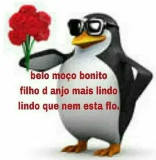 🌹 emoji não sei se comento Telegram sticker 20 of 65