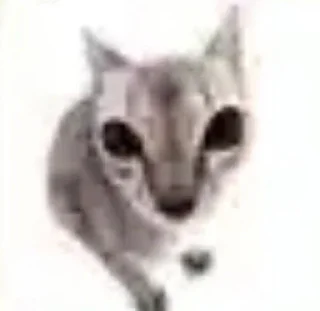 😸 emoji não sei se comento Telegram sticker 13 of 65