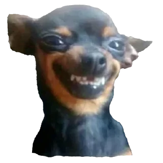 😁 emoji Lol Telegram sticker 22 of 32