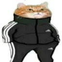 🐱 emoji That Was Very Cash Money @FiBERR Telegram sticker 4 of 62