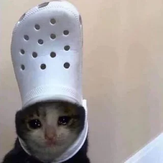 🥺 emoji gatinhos triste Telegram sticker 21 of 26