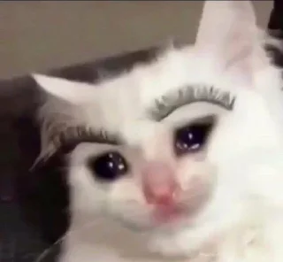 🥺 emoji gatinhos triste Telegram sticker 12 of 26