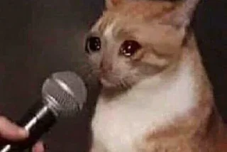 🥺 emoji gatinhos triste Telegram sticker 24 of 26