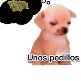 🍁 emoji Mierda amarilla Telegram sticker 9 of 118