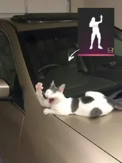 Sticker from 𝗡𝗼𝘃𝗶𝘁𝗮 Steal @novitx77